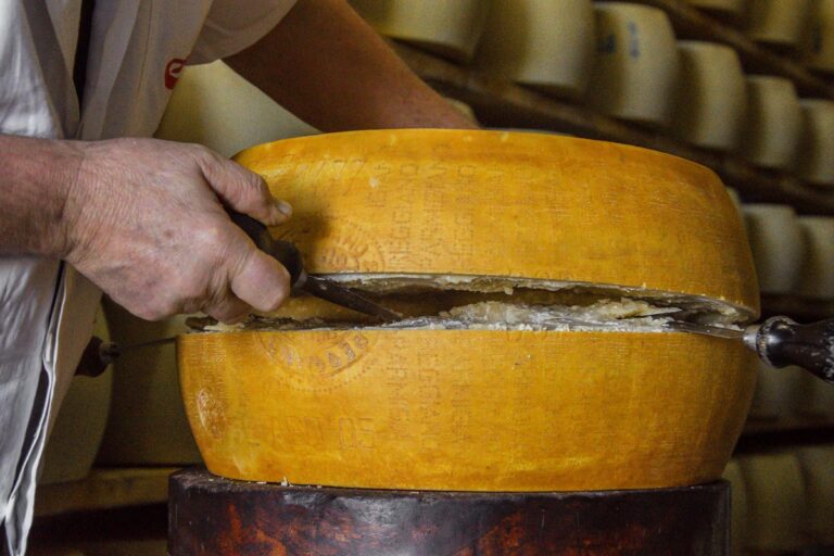 Umami, il quinto sapore un approfondimento illuminante BBQ4All